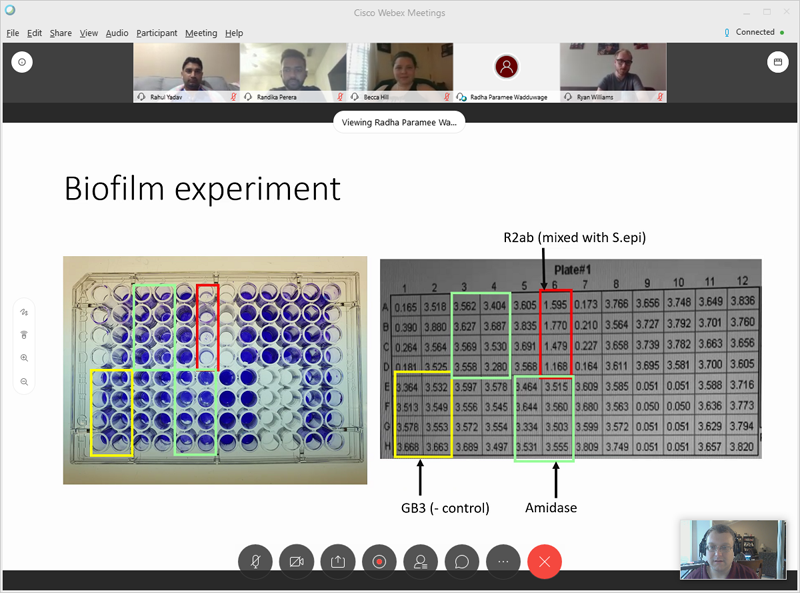 Lab Meeting Webex Screenshot